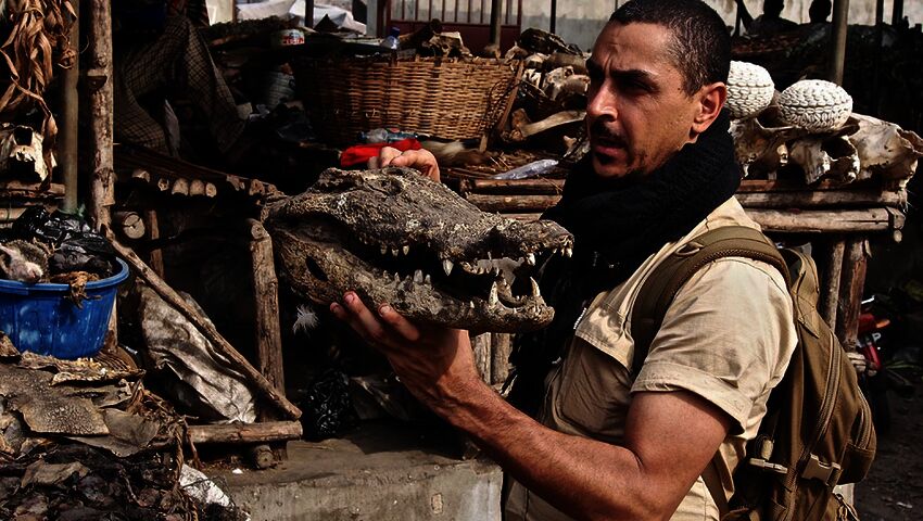 Arman ja viimeinen ristiretki (12)