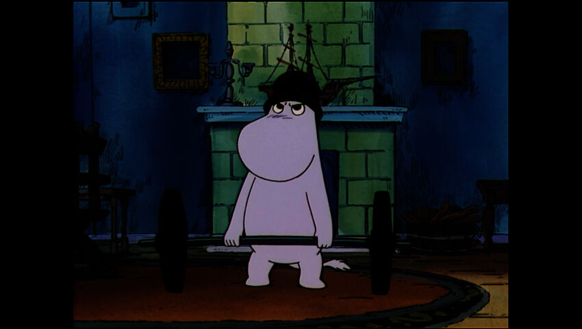 Muumilaakson tarinoita (S)