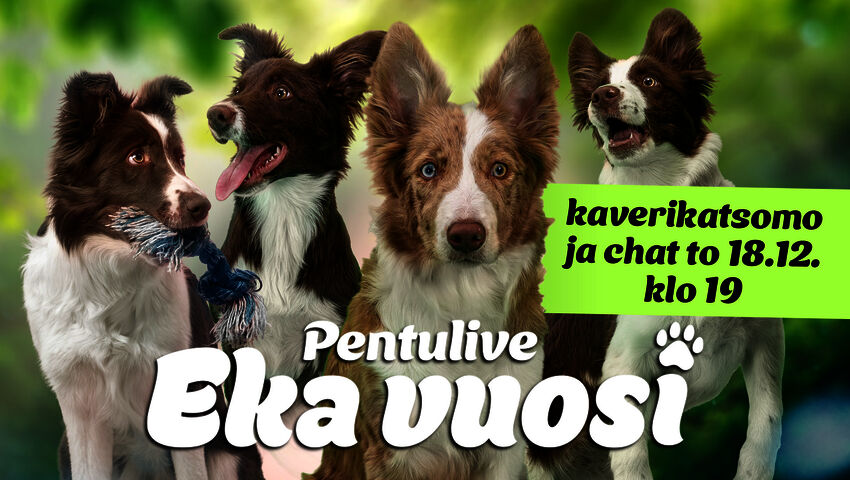 Pentulive: Eka vuosi -kaverikatsomo