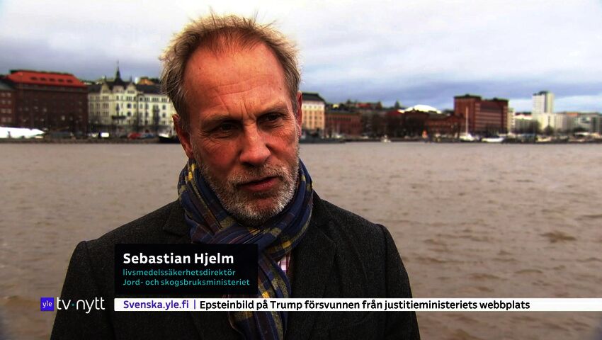 Yle Nyheter TV-nytt 17.55