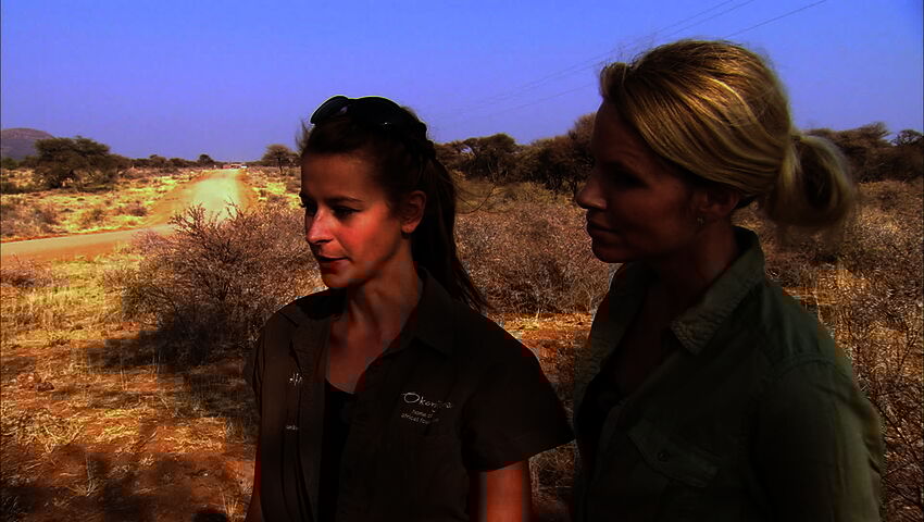 Elämäni eläimet: Eläinsairaalassa