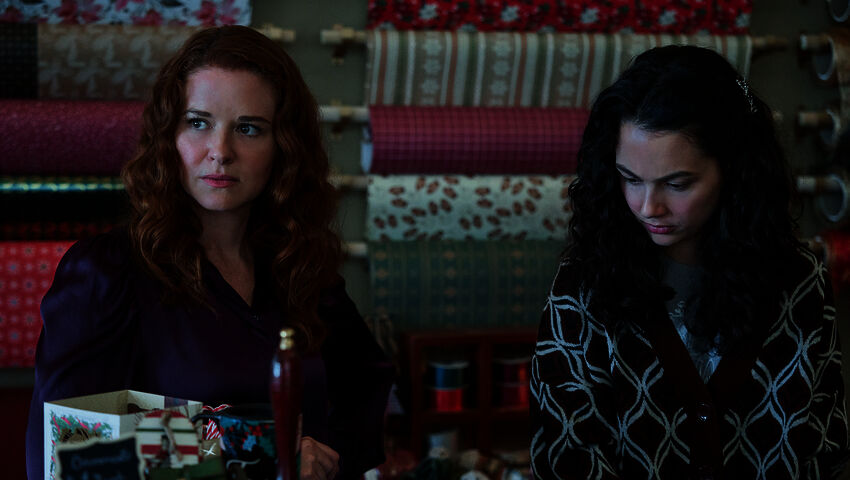 Joulukaupan mysteerit (12)