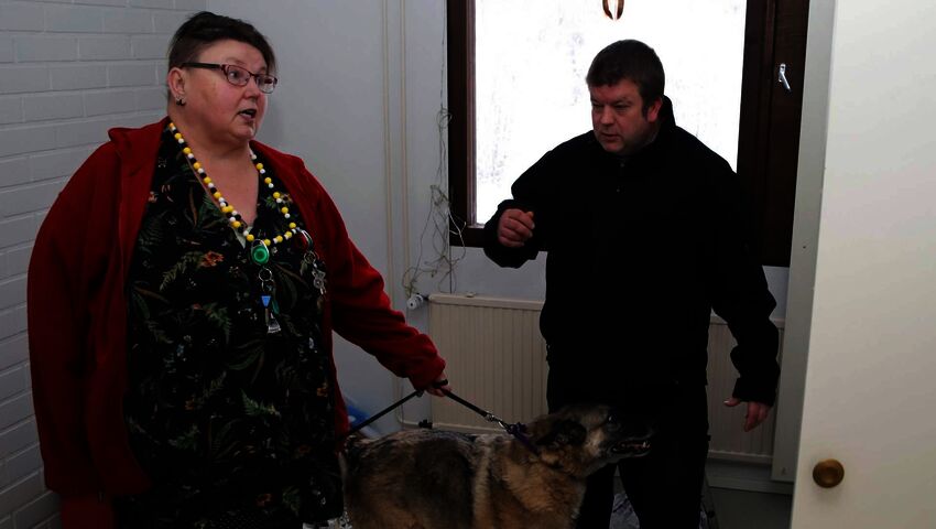 Mikkelin Suonsaarentien yhteisö hajaantuu