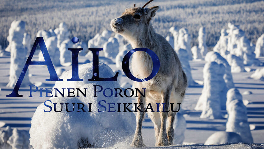 Ailo - pienen poron suuri seikkailu