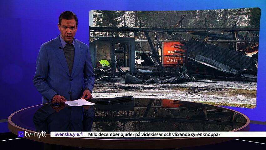 Yle Nyheter TV-nytt 17.55