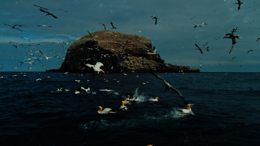 Avara luonto: Monimuotoinen Eurooppa