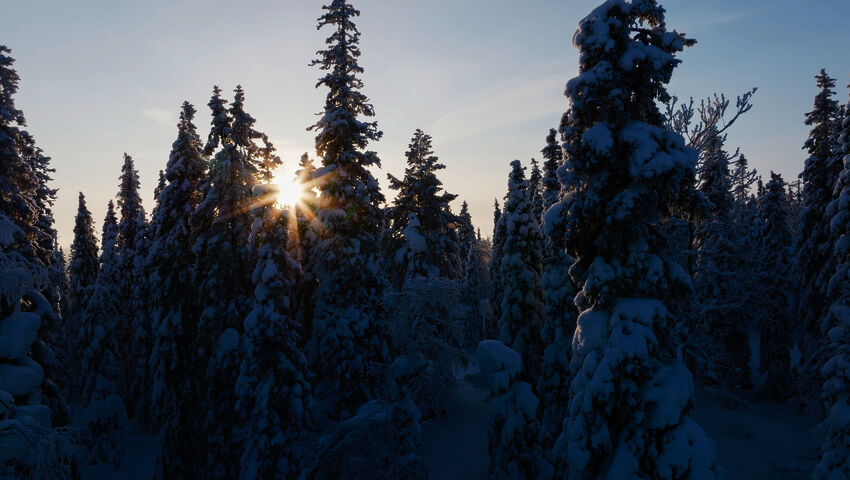 Avara luonto: Monimuotoinen Eurooppa