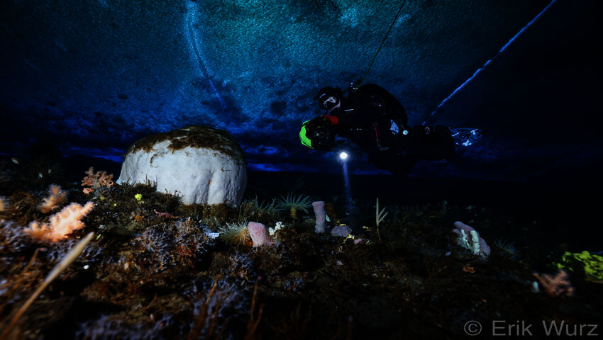 Anna Vesanen söker svar på klimatkrisen under isen i Antarktis