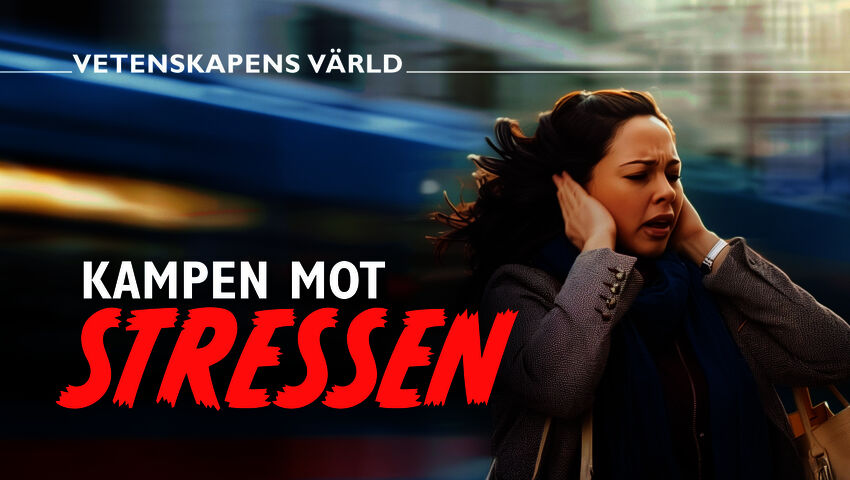 Taistelu stressiä vastaan