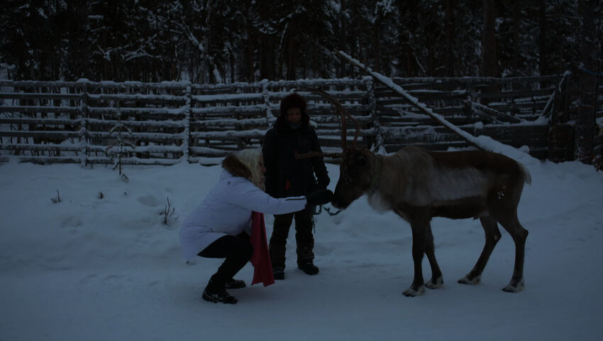 Tastula - toista maata