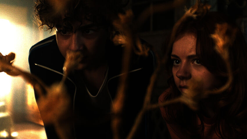 Pörriäinen lentää hämärissä (12)