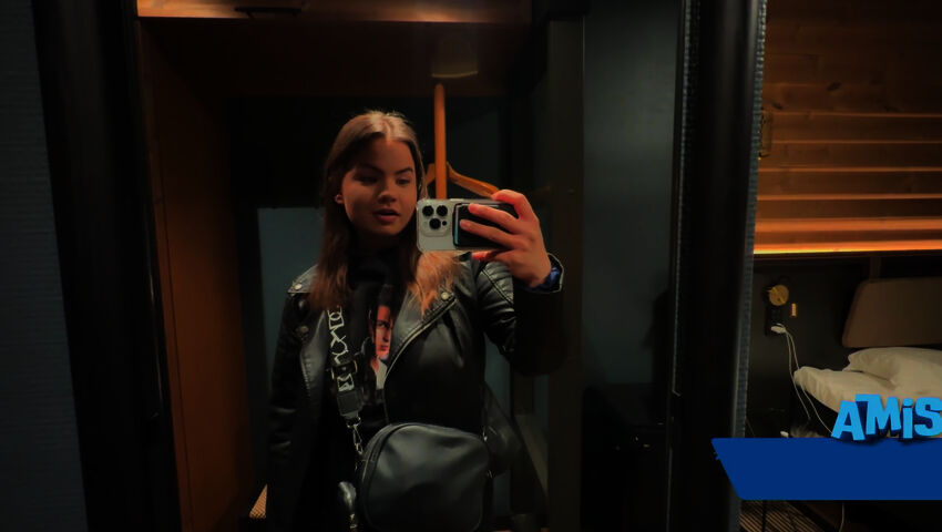 Amispäiväkirjat (S)