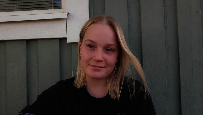 Amispäiväkirjat (S)