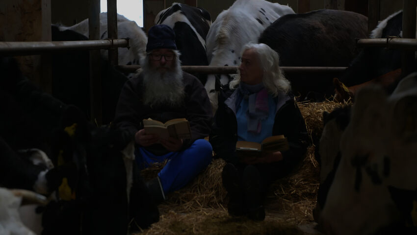 Tastula - toista maata