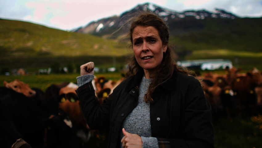 Islanti saagojen valossa