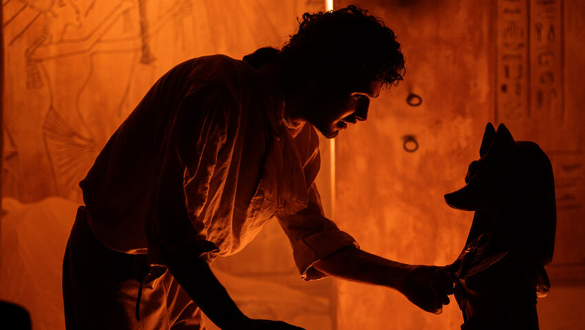 Pörriäinen lentää hämärissä (12)