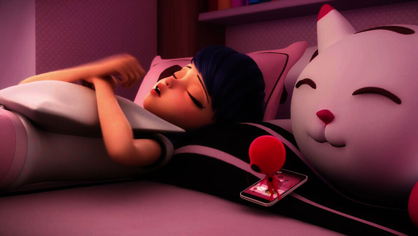 Miraculous: Ladybugin ja Cat Noirin seikkailut (7)