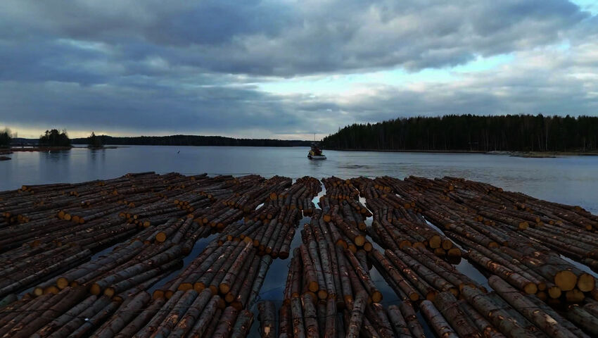 Rekkakuskit Suomi (S)