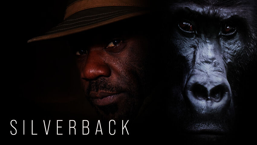 Gorillojen suojelijat