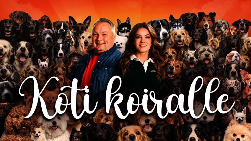 Koti koiralle