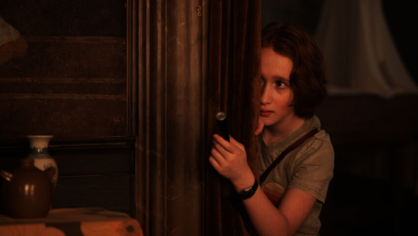 Pörriäinen lentää hämärissä (12)