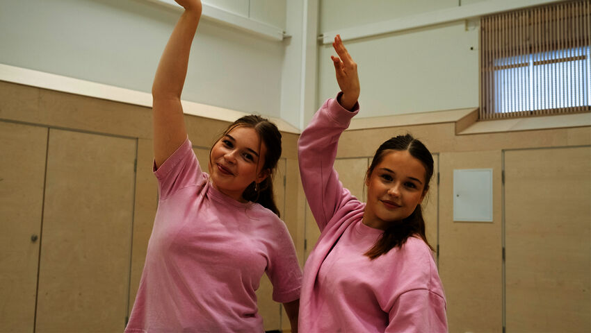 Elka ja Siiri unelmatöissä