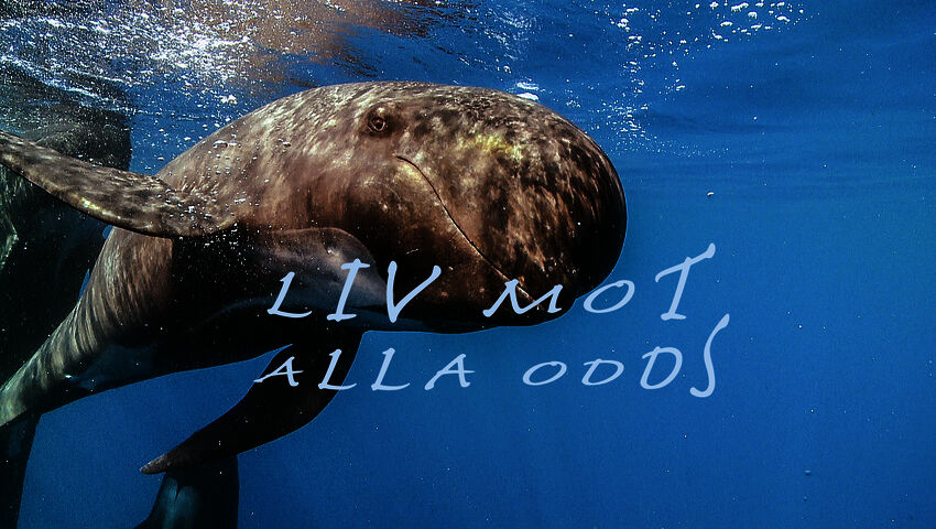 Elämää vastoin kaikkia odotuksia