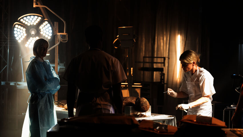 Hiljainen todistaja (16)