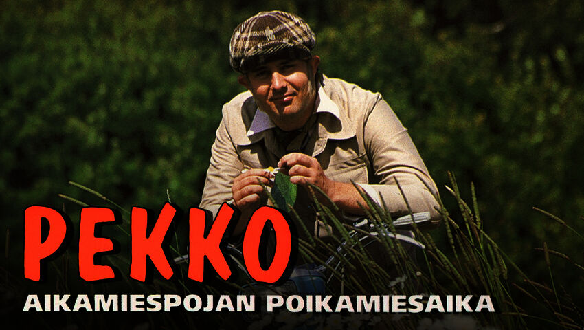 Pekko aikamiespojan poikamiesaika