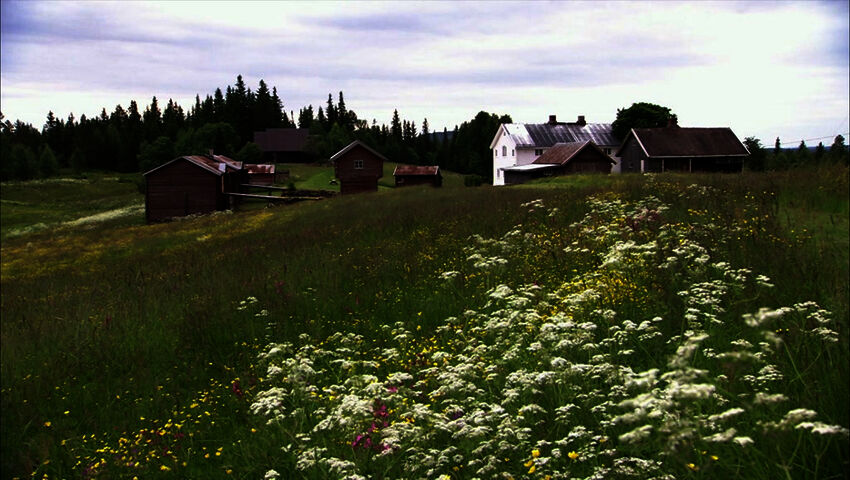 Tiettömän taipaleen takana