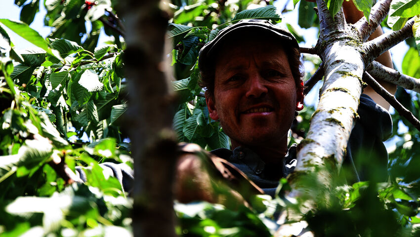 Tanskalainen maajussi