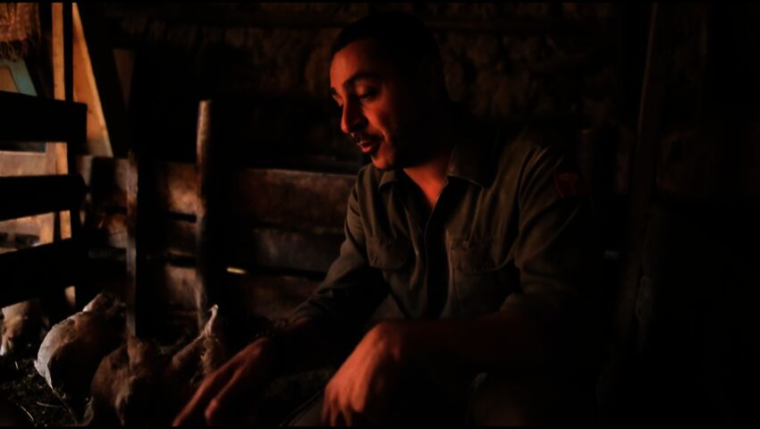 Arman ja viimeinen ristiretki (7)