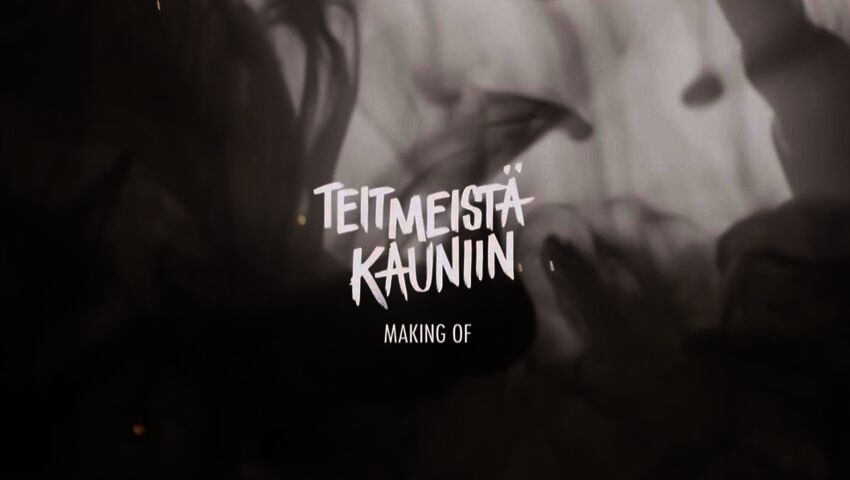 Teit meistä kauniin (12)