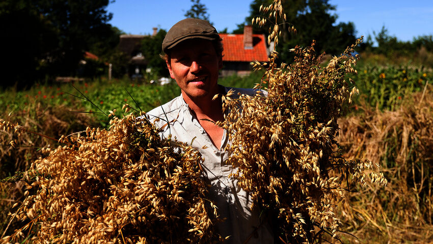 Tanskalainen maajussi