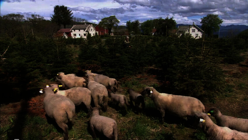Tiettömän taipaleen takana