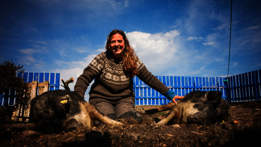 Elämää meren armoilla