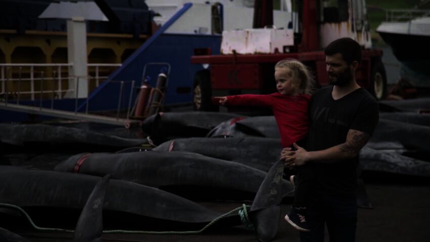 Arman ja viimeinen ristiretki (12)