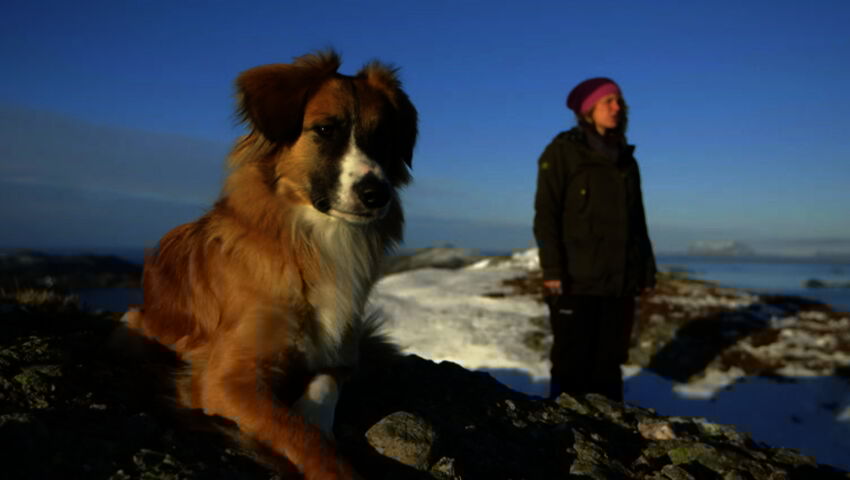 Tiettömän taipaleen takana