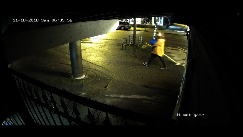 Missä on Odin? (12)