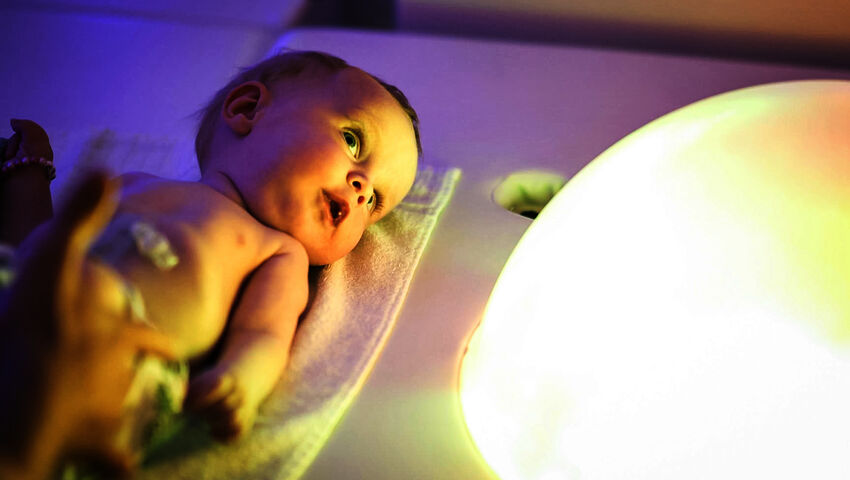 Royn täytyy selvitä