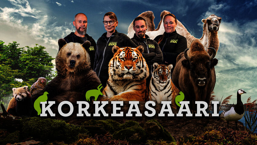 Korkeasaari