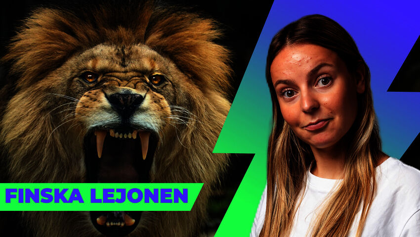 Varför har finska idrottslag djurnamn?