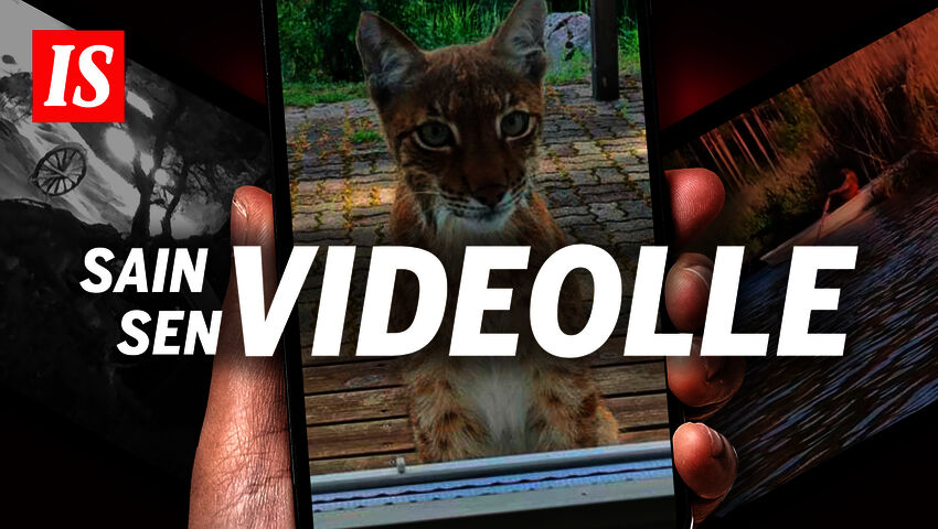 IS esittää: Sain sen videolle