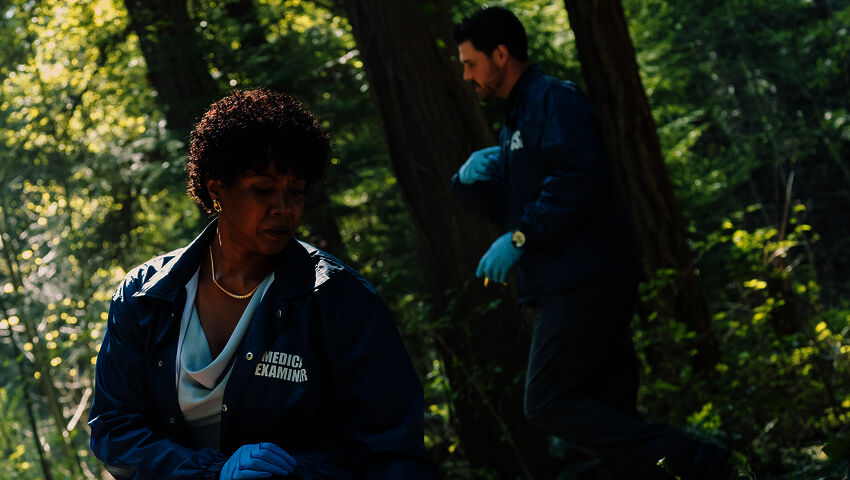 Pikkukaupungin poliisi (12)