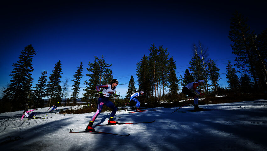 Yli 500 nuorta hiihtää Ristijärvellä Hopeasomman mestaruuksista viikonloppuna – lunta kolattiin kasaan ja ajettiin traktorilla 