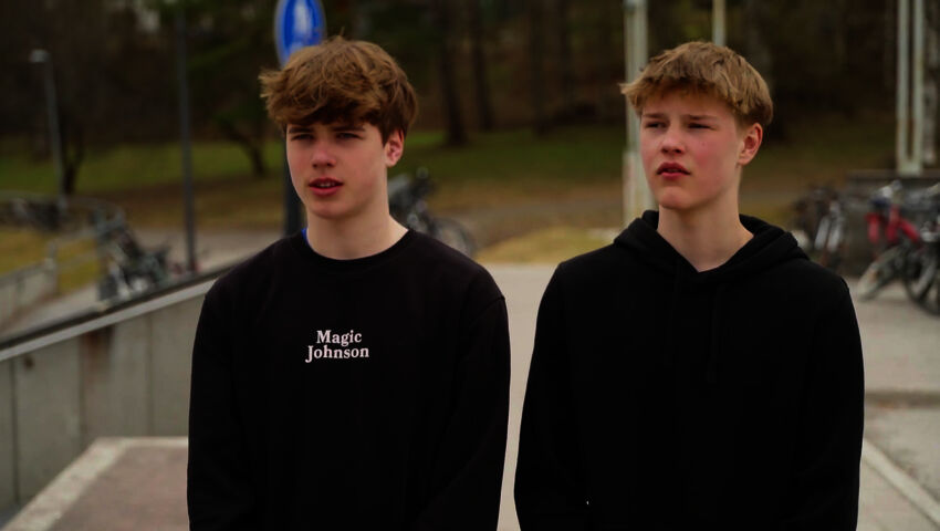 Suomen huutokauppakeisari