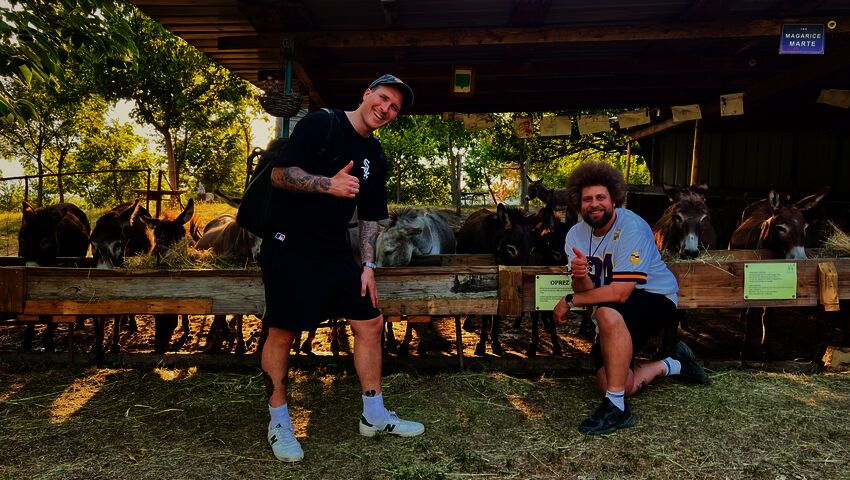 Vikin ja Köpin matkailuohjelma (S)