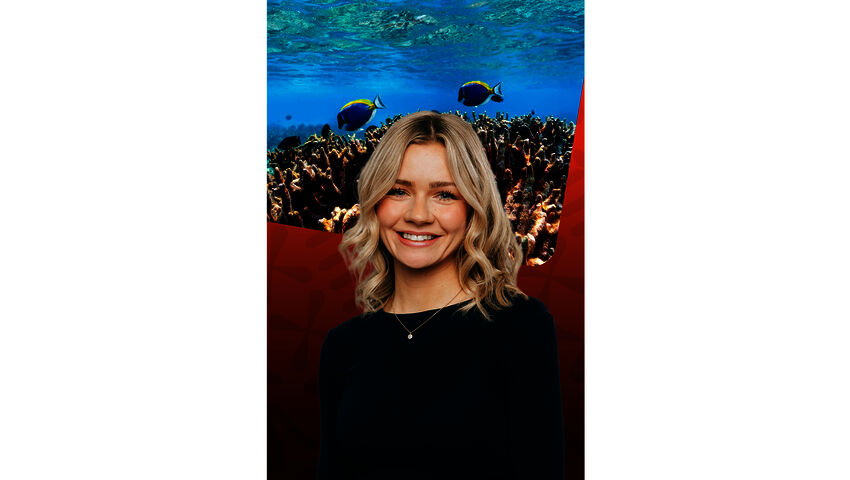 Här är fem bra saker som har hänt i år