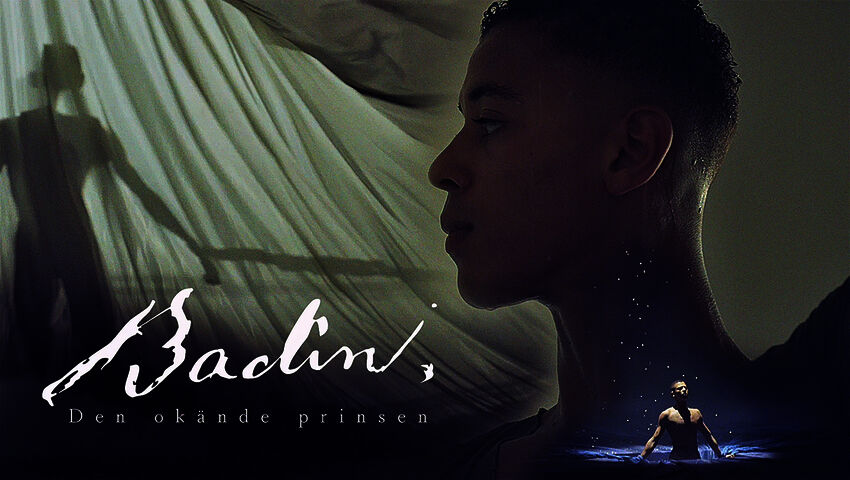 Ruotsin tuntematon prinssi