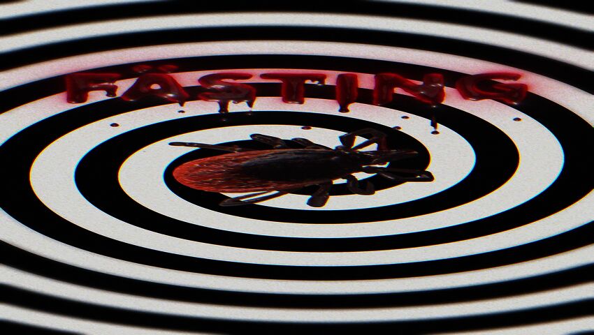 Vaccin mot borrelia kan bli verklighet